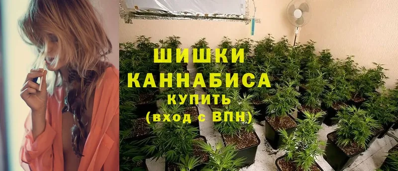 где найти   кракен ONION  Марихуана White Widow  Микунь 